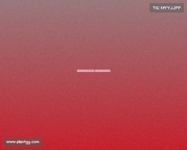 电子竞技馆分区介绍图文;电子竞技馆的证照办理